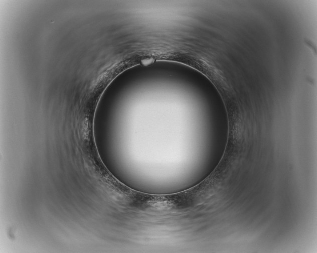 X0000100230689200805301413
