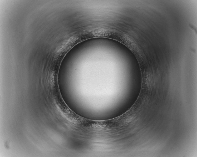 X0000100230690200805301413