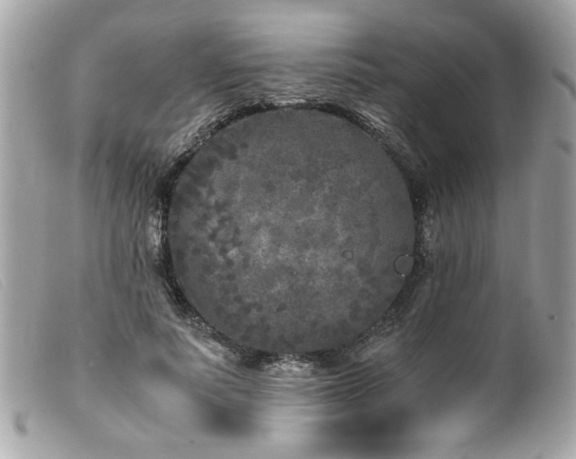 X0000100230691200805301413