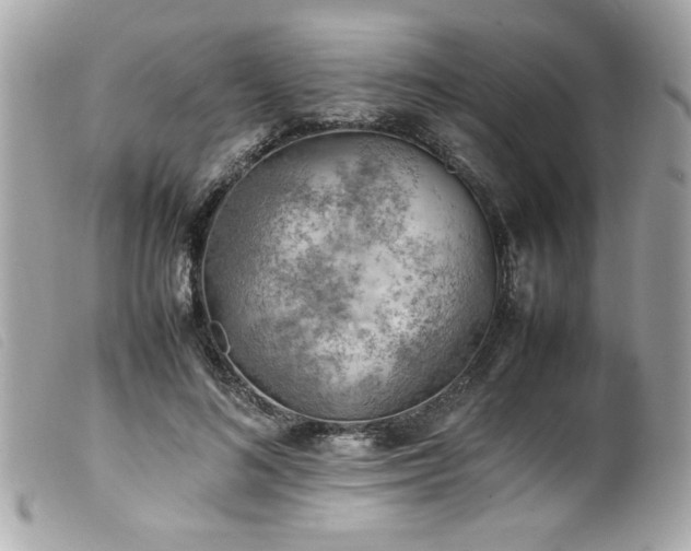 X0000100230692200805301413