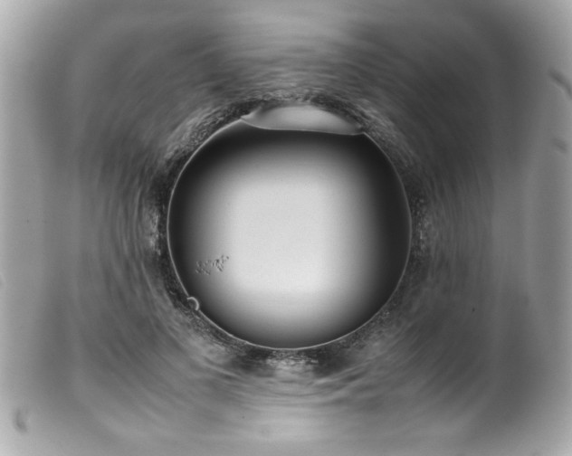 X0000100230693200805301413