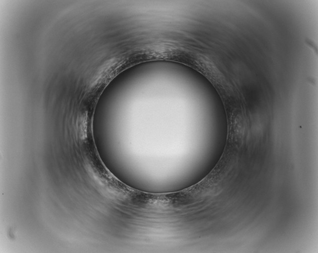 X0000100230694200805301413