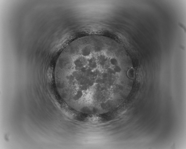 X0000100230695200805301413