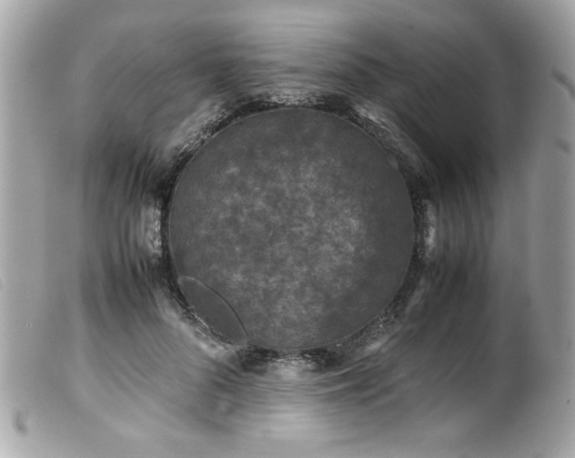 X0000100230696200805301413