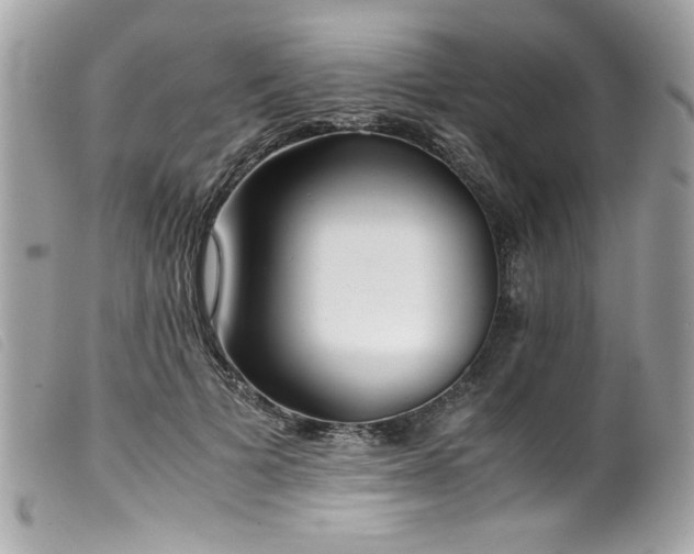 X0000100230697200805301413