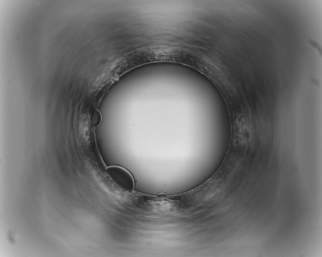 X0000100230698200805301413