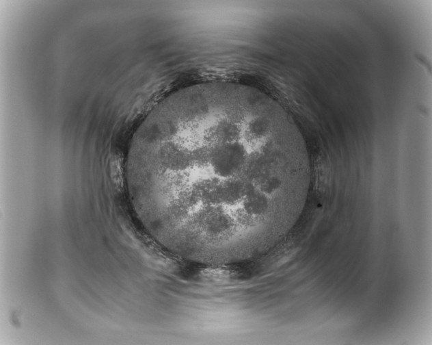 X0000100230699200805301413