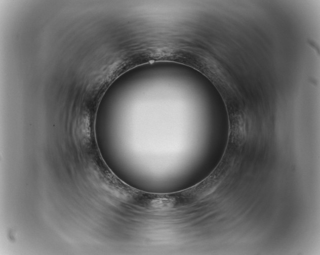 X0000100230700200805301413