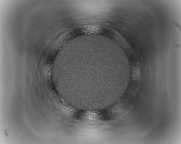 X0000100230701200805301413