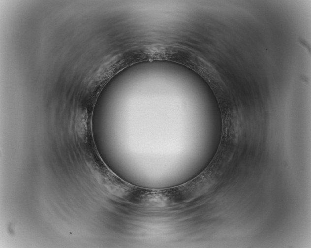 X0000100230702200805301413