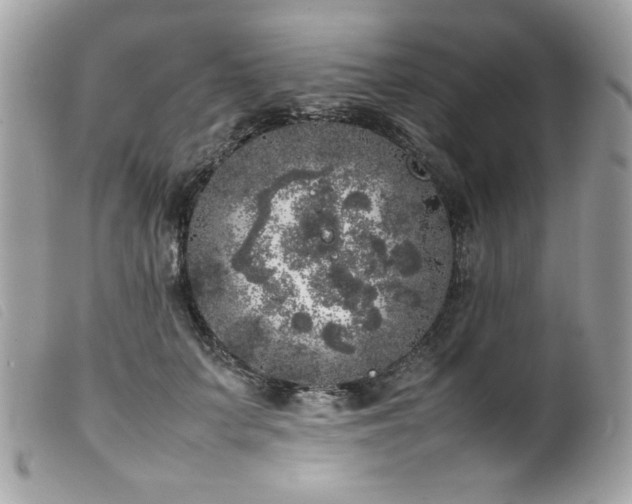 X0000100230703200805301413