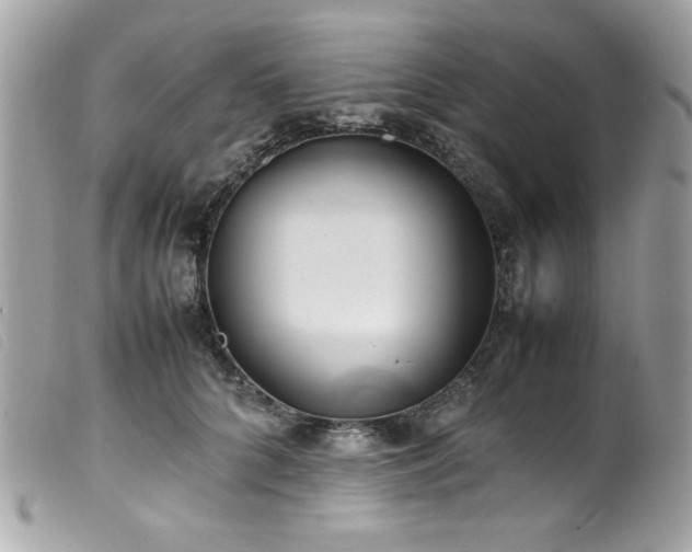 X0000100230704200805301413
