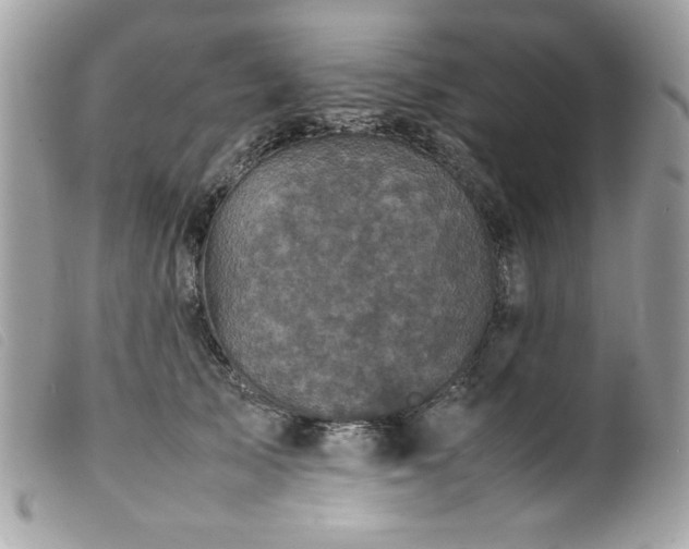 X0000100230705200805301413