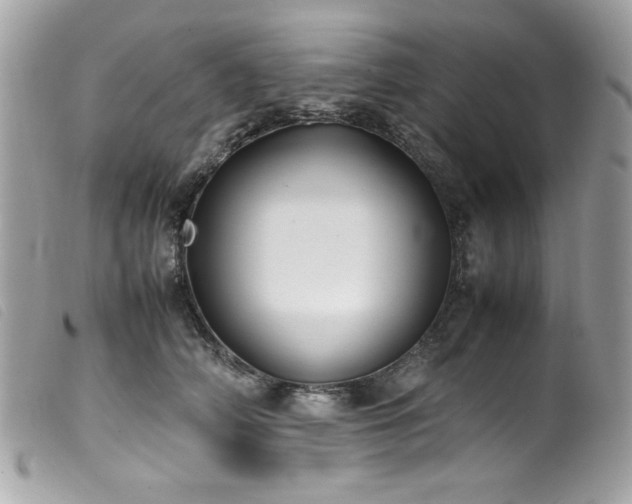 X0000100230706200805301413