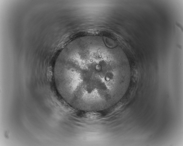 X0000100230707200805301413