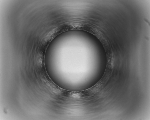 X0000100230710200805301412