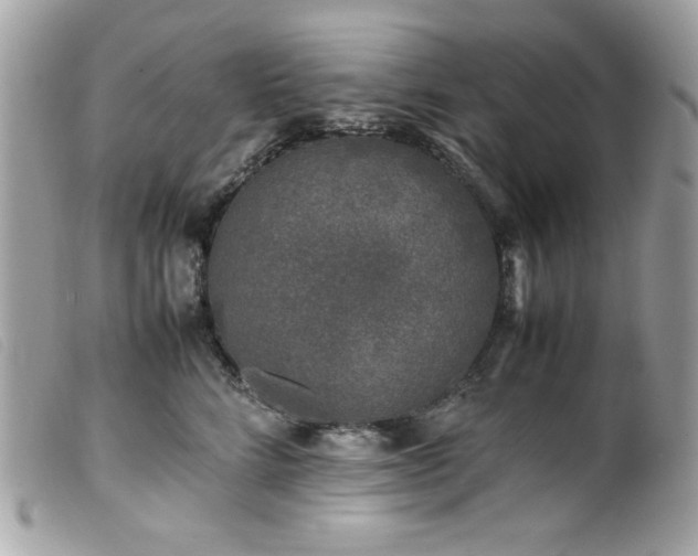 X0000100230712200805301412