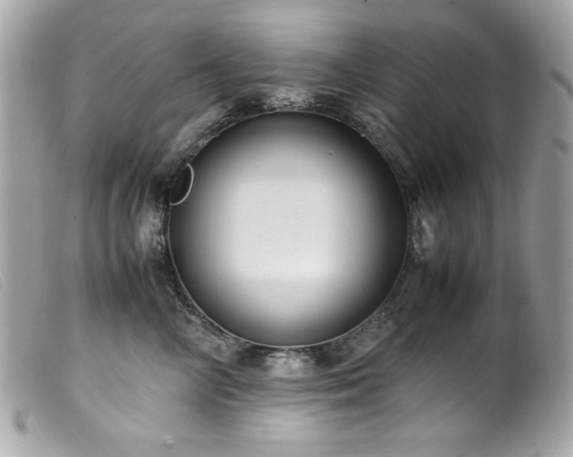 X0000100230714200805301412