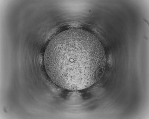 X0000100230715200805301412