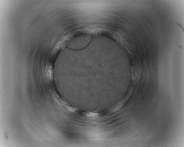 X0000100230718200805301412