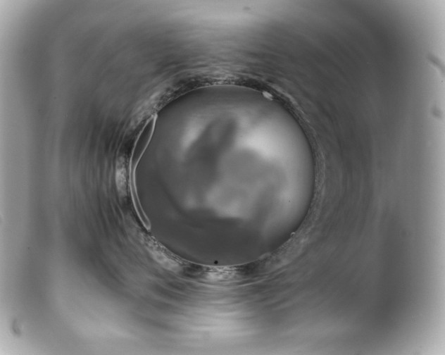 X0000100230720200805301412