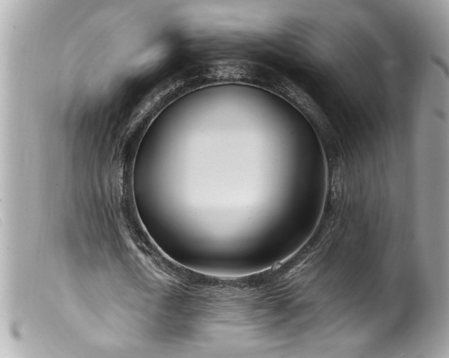 X0000100230722200805301412