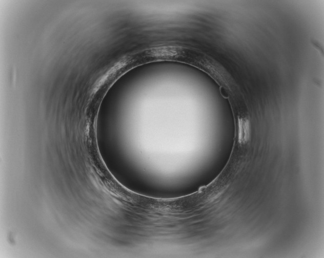 X0000100230723200805301412