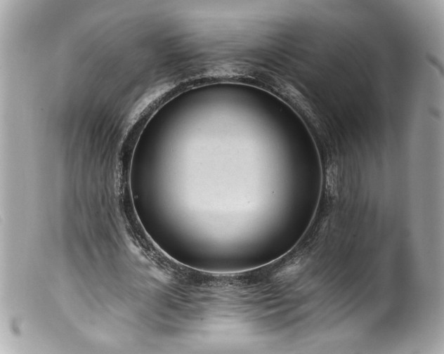X0000100230724200805301412