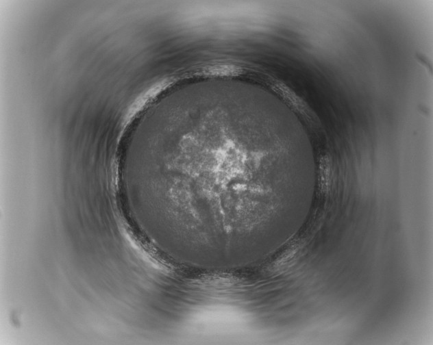 X0000100230726200805301412