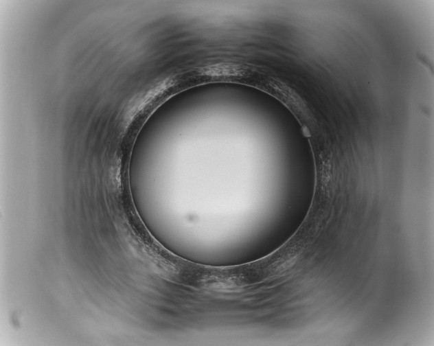 X0000100230727200805301412