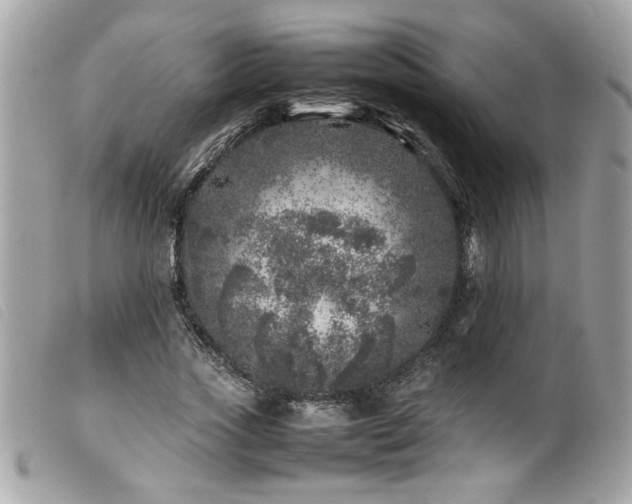 X0000100230733200805301412