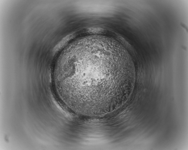 X0000100230734200805301412