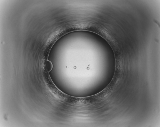 X0000100230736200805301412