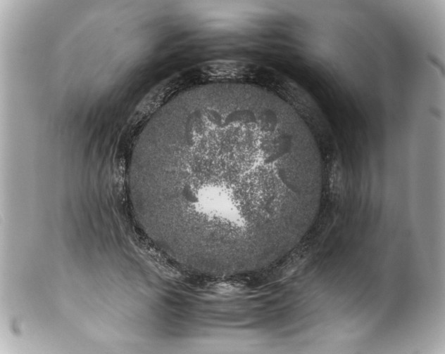 X0000100230737200805301412