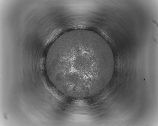 X0000100230738200805301412