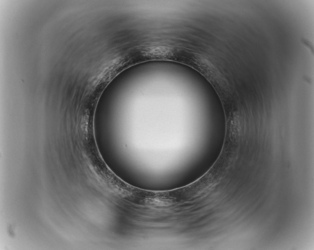 X0000100230739200805301412
