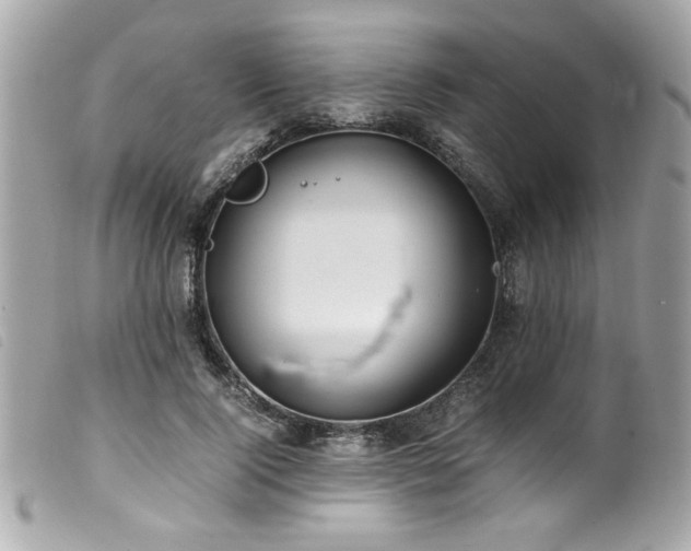 X0000100230740200805301412
