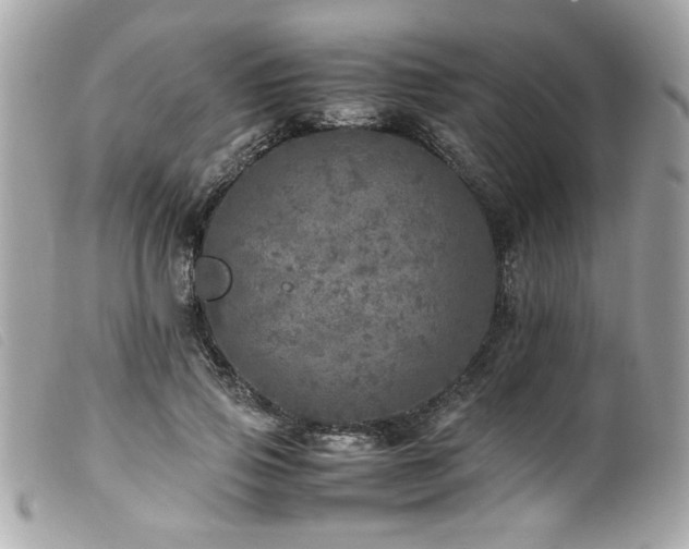 X0000100230741200805301412