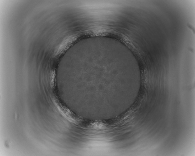 X0000100230742200805301412