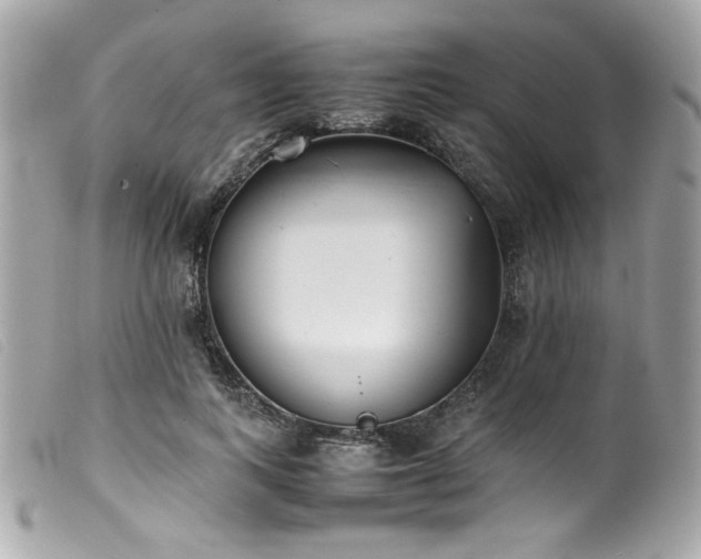 X0000100230743200805301412