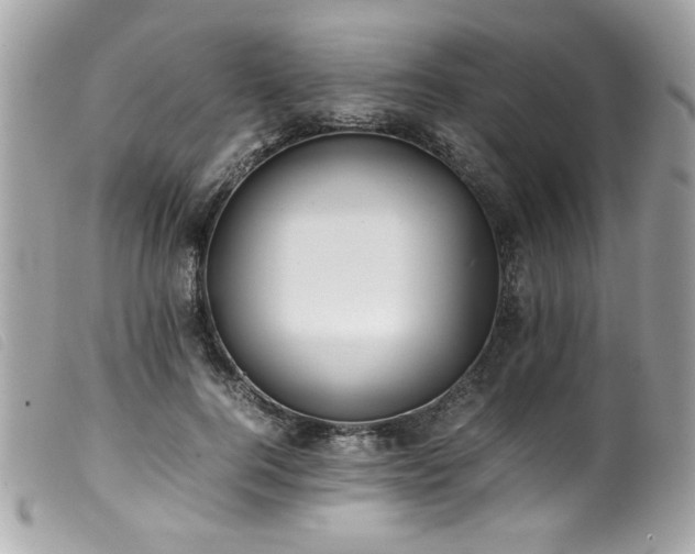 X0000100230744200805301412
