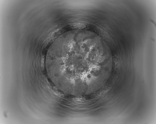 X0000100230745200805301412