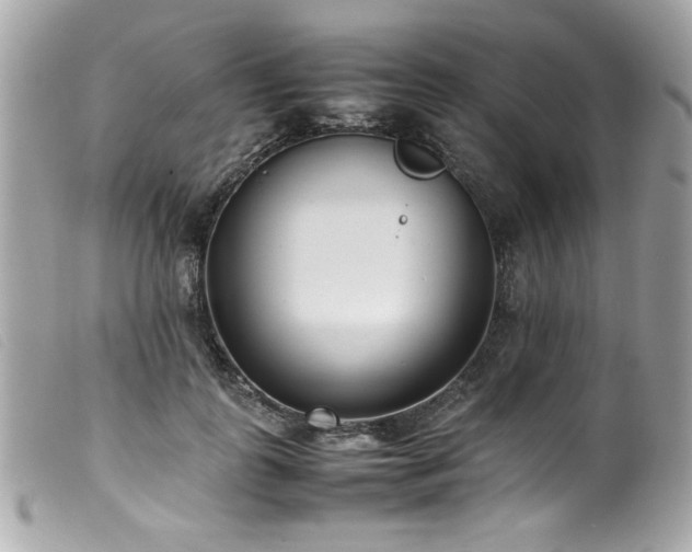 X0000100230747200805301412
