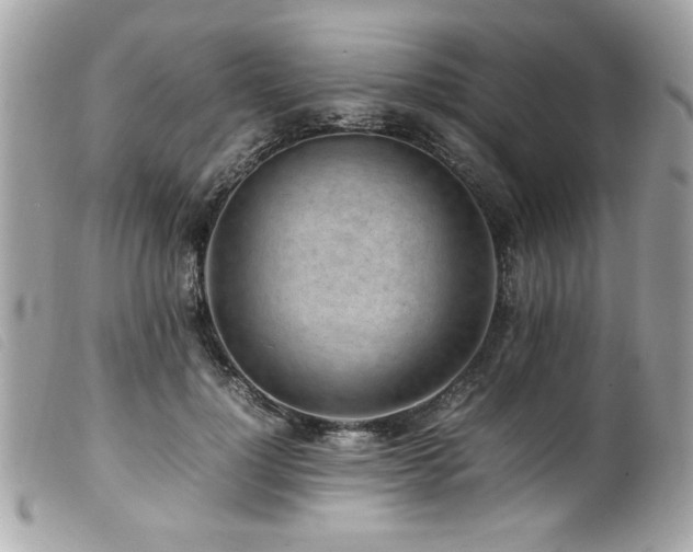 X0000100230748200805301412
