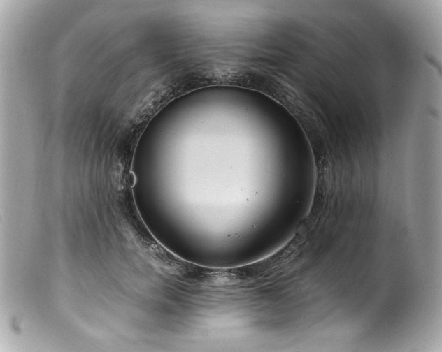 X0000100230750200805301412