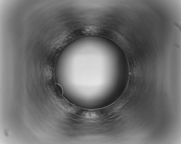 X0000100230751200805301412