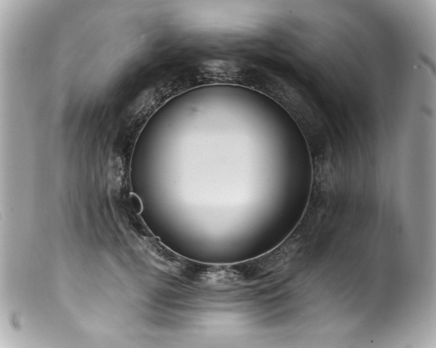 X0000100230752200805301412