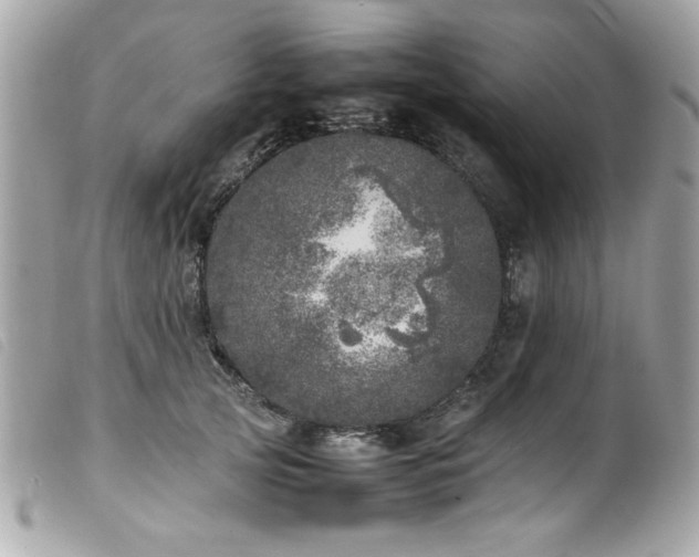 X0000100230753200805301412