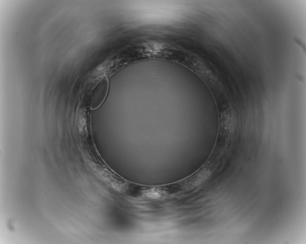 X0000100230754200805301412