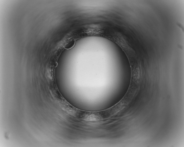 X0000100230755200805301412